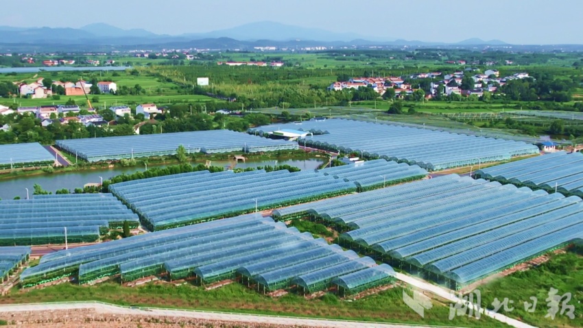 久盈国际注册登录
